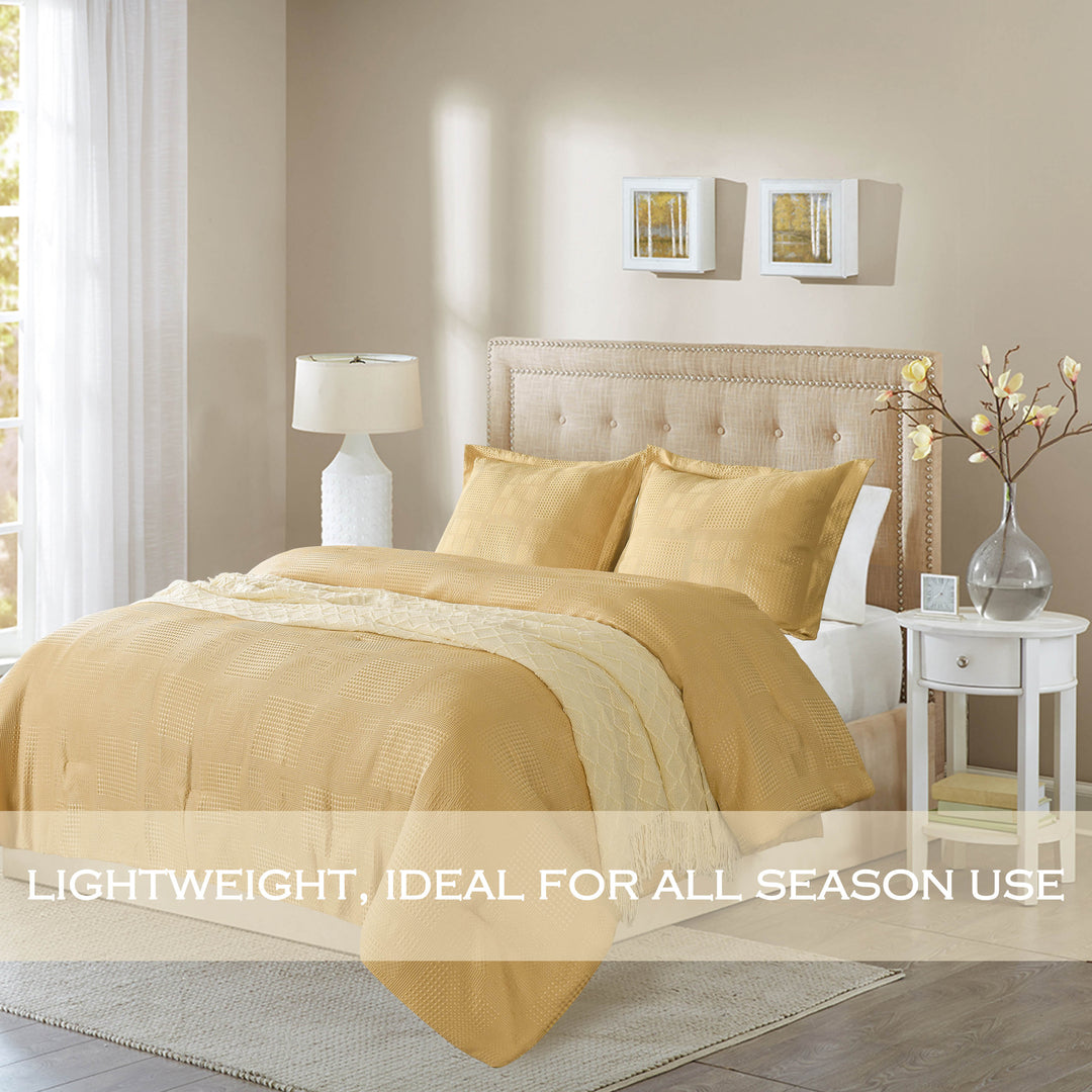#color_light-gold