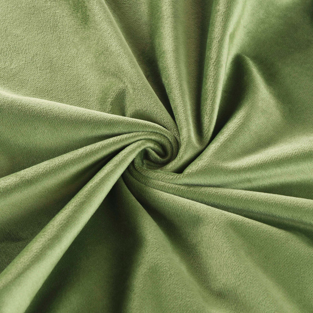 #color_olive-green