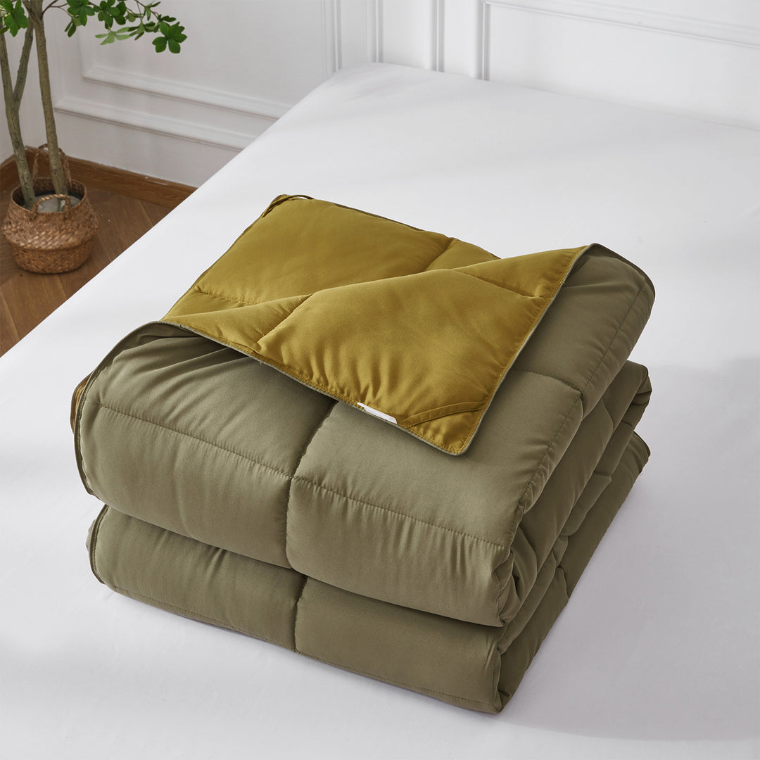 3 Piece All Season Lightweight Down Alternative Comforter Set